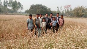 অপার সম্ভাবনাময় ঢেমসি