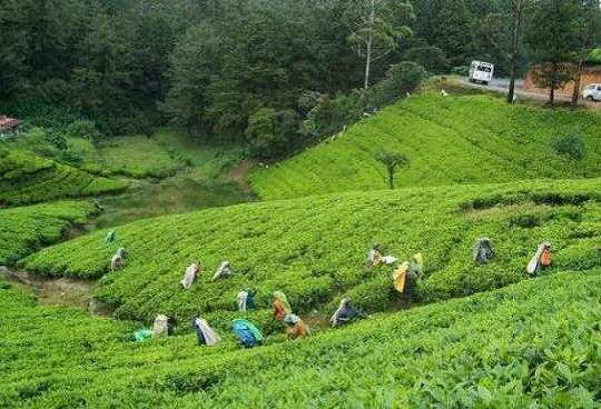 ভ্রমণ পিয়াসীদের ভিন্ন আমেজ : জমে ওঠেছে এক্সেলসিওর সিলেট হোটেল এন্ড রিসোর্ট