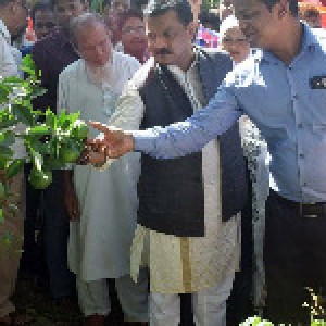 ফলদ বৃক্ষমেলা ২০১৮